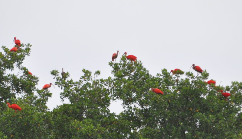 DSC_0075b.JPG