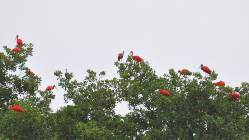 DSC_0076b.JPG