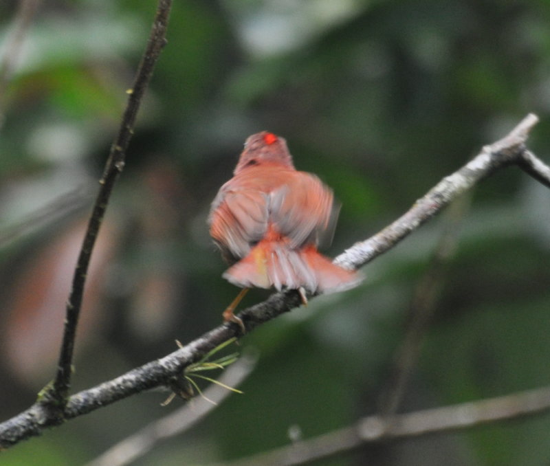 DSC_0193b.JPG