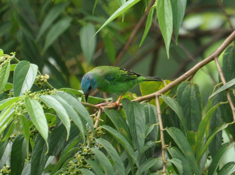 DSC_0346b.JPG