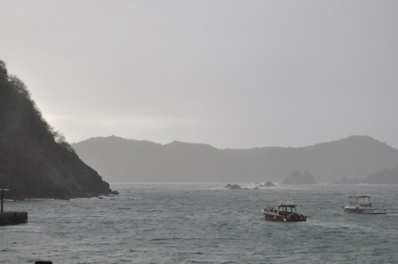 DSC_0534b.JPG