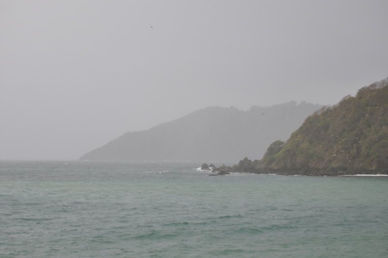DSC_0535b.JPG