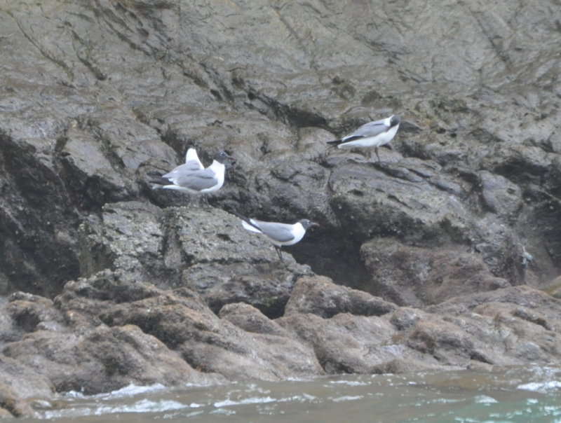 DSC_0573b.JPG