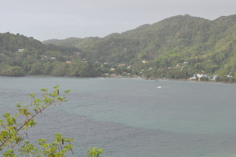 DSC_0636b.JPG