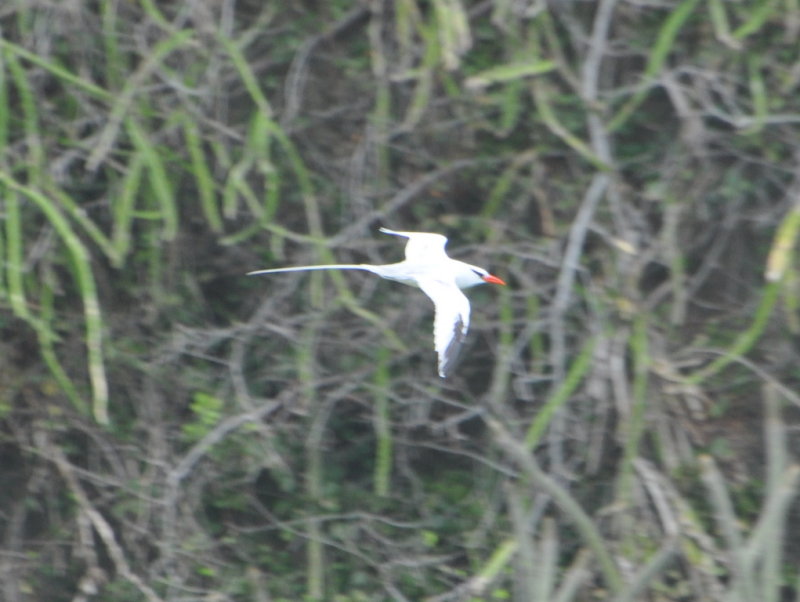 DSC_0252b.JPG