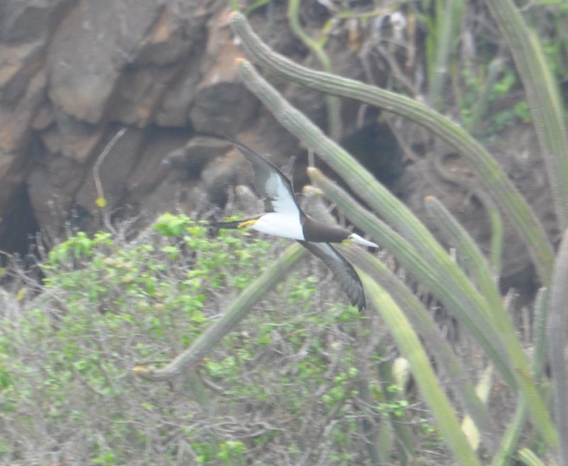 DSC_0309b.JPG