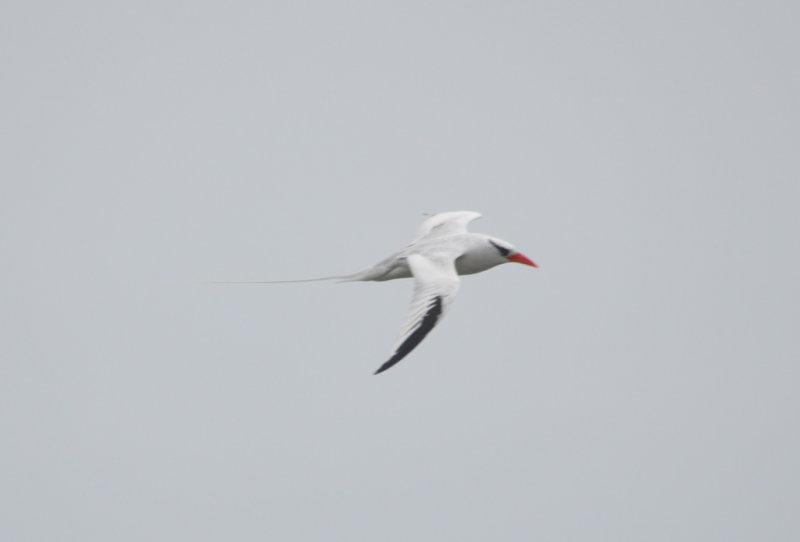 DSC_0393b.JPG
