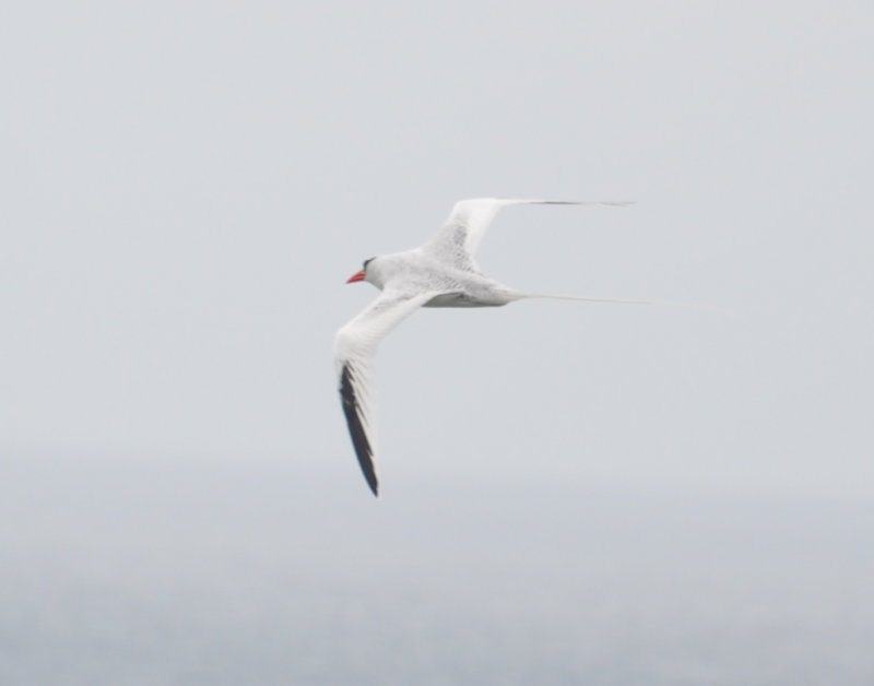 DSC_0403b.JPG