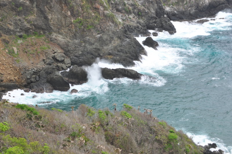 DSC_0425b.JPG