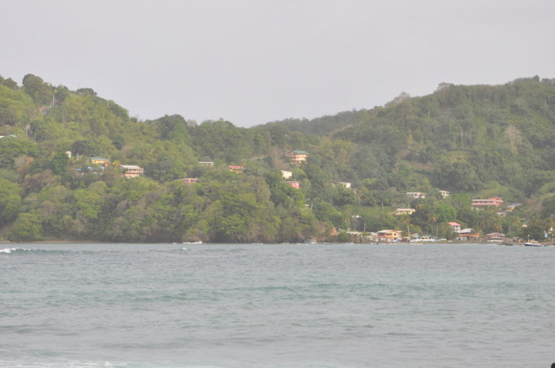 DSC_0667b.JPG
