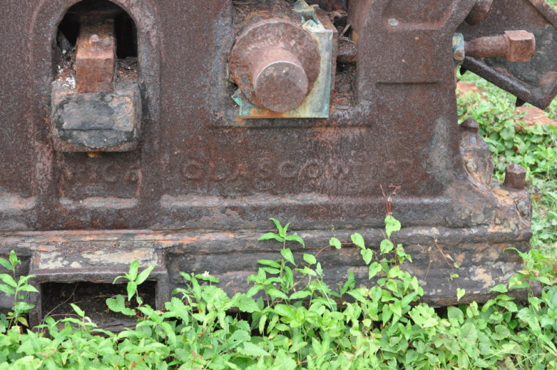 DSC_0674b.JPG