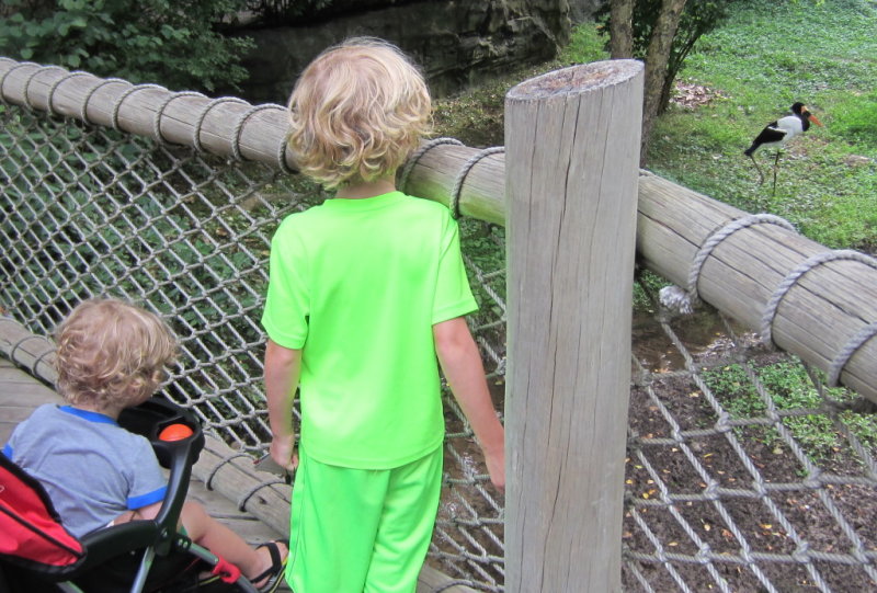 IMG_5731b.JPG