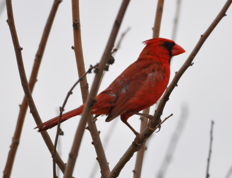 DSC_0089b.JPG