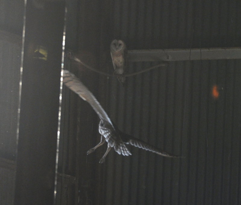 DSC_0006b.JPG