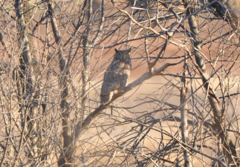 DSC_0097b.JPG