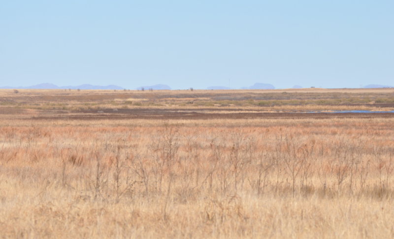 DSC_1154b.JPG
