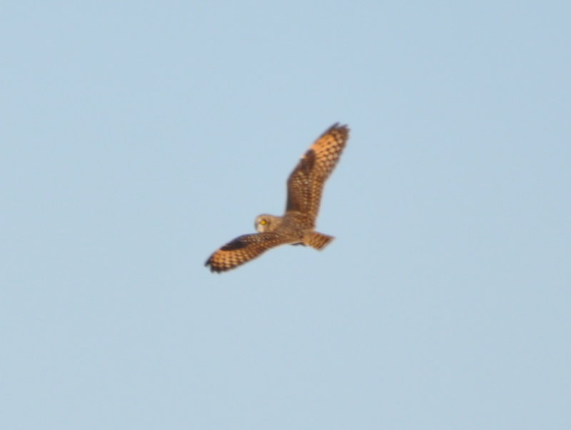 DSC_1415b.JPG