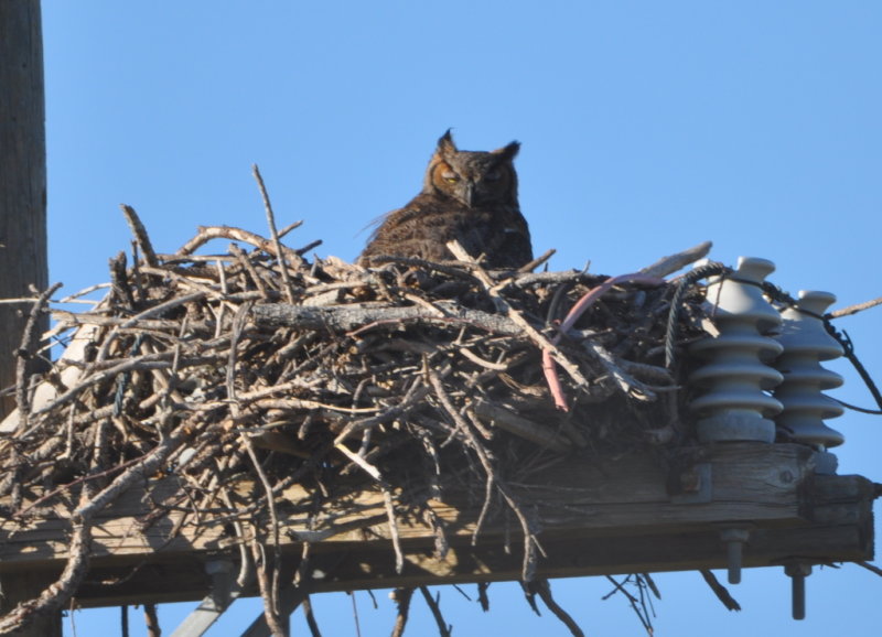 DSC_2102b.JPG