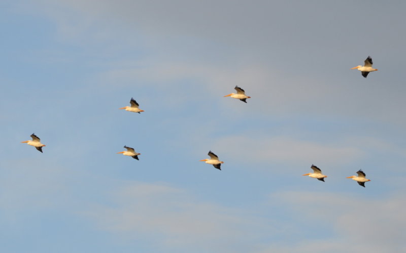 DSC_0329b.JPG