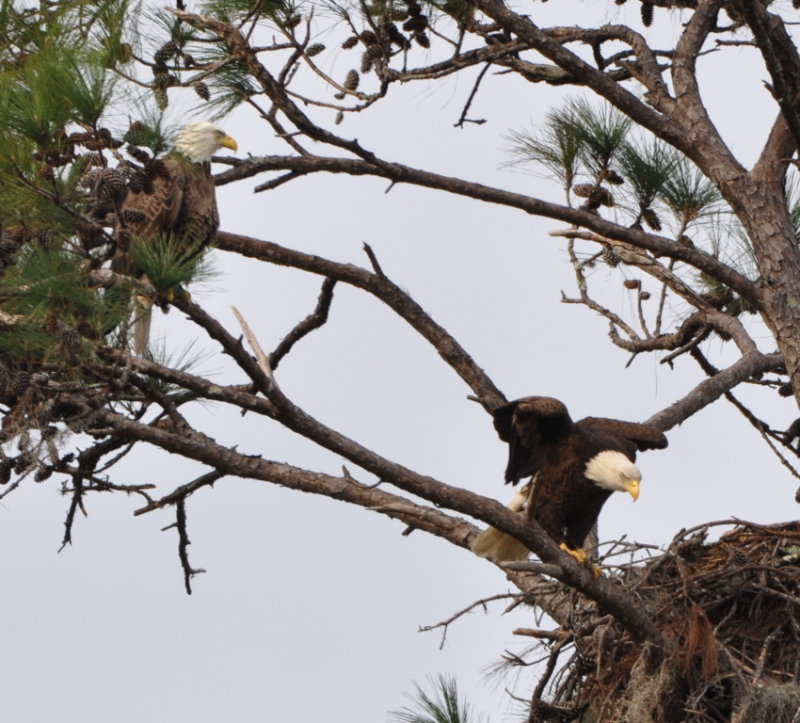 DSC_0038b.JPG