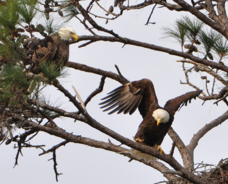 DSC_0044b.JPG