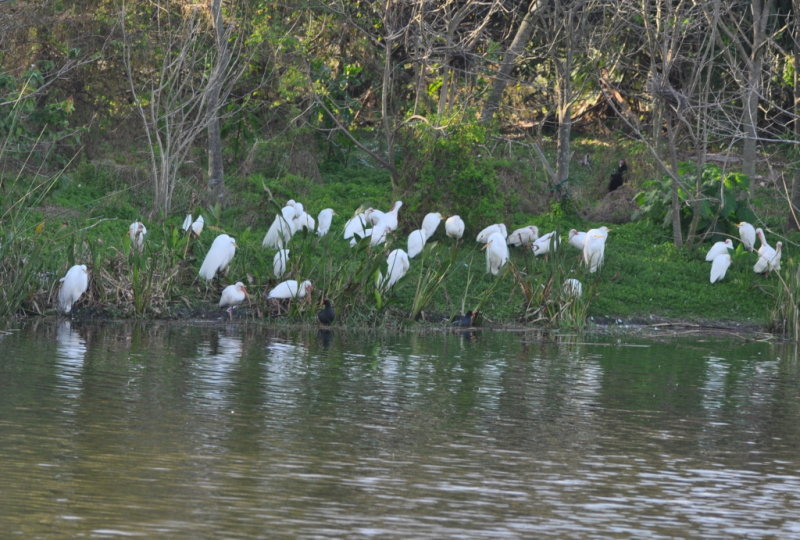 DSC_0374b.JPG