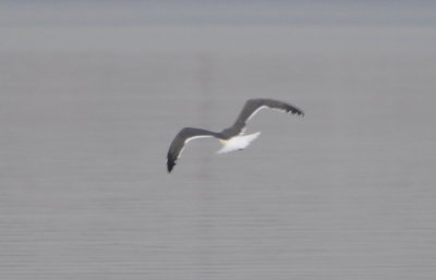 DSC_0272b.JPG