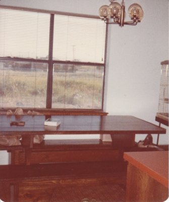 Looking south across the kitchen table and out the back window at the prairie.