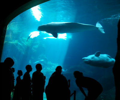 20140726_122531b.jpg