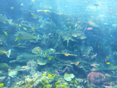 20140726_142513b.jpg