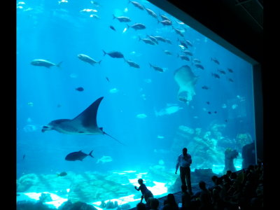 20140726_150052b.jpg