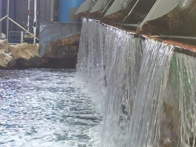 20140726_110058b.jpg