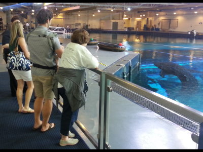 20140726_111837b.jpg