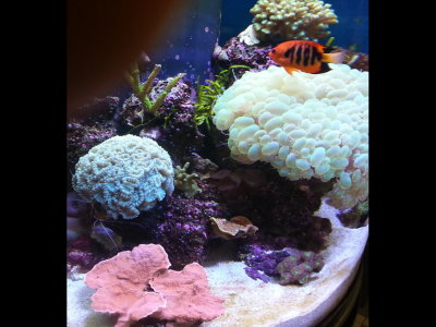 20140726_114205b.jpg