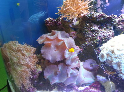 20140726_114216b.jpg