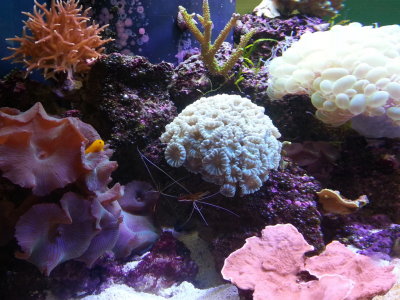 20140726_114221b.jpg