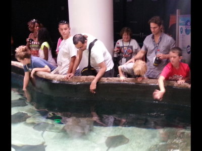 20140726_115847b.jpg