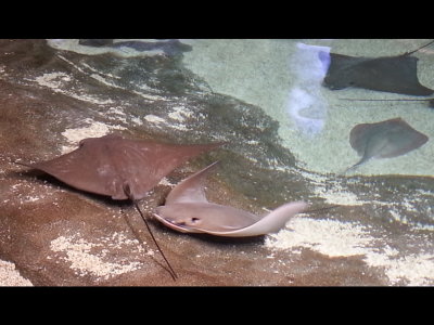 20140726_120415b.jpg