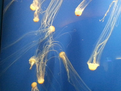 20140726_142228b.jpg