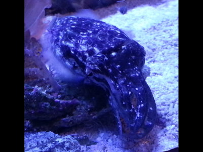 20140726_143259b.jpg