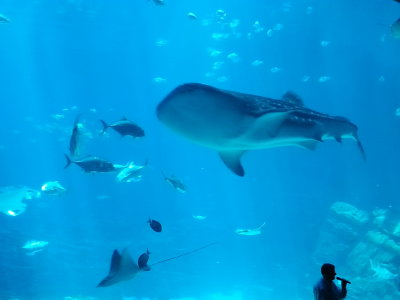 20140726_150015b.jpg