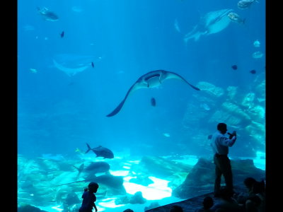 20140726_150041b.jpg