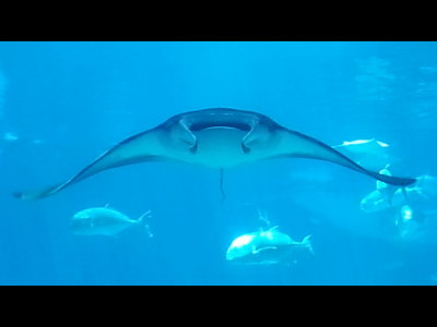 20140726_150459b.jpg
