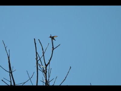 DSC_0146b.JPG