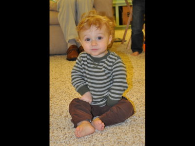 Max enjoys the carpet.