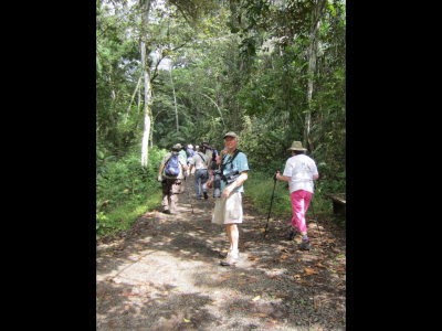Our group on Plantation Road on the trail of the next bird