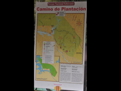 Usted esta aqui. A map of Plantation Road and Semaphore Road in Soberania National Park, Panama