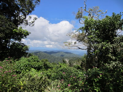 The view from the back porch of the house: the Chagres National Park