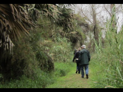 Walking one of the trails at Sabal Palm Sanctuary, TX