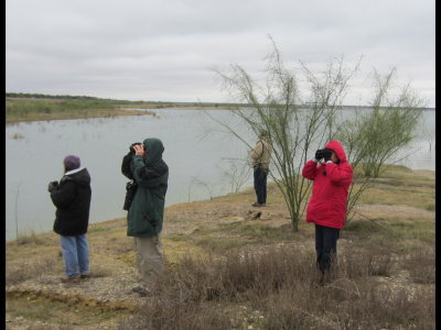 From San Ygnacio, we went to Falcon State Park. Nadine, Steve, Albert and Gail look across an inlet for shorebirds.